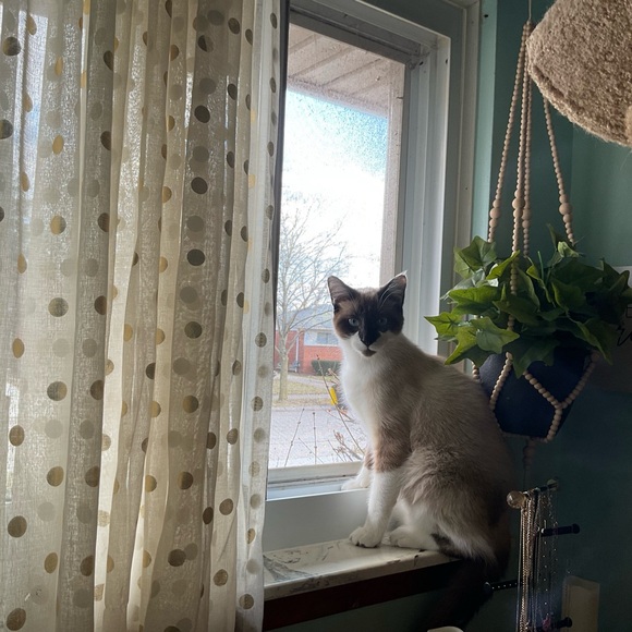 Meet your Posher, Brooke - Picture 10 of 11